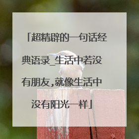 超精辟的一句话经典语录_生活中若没有朋友,就像生活中没有阳光一样
