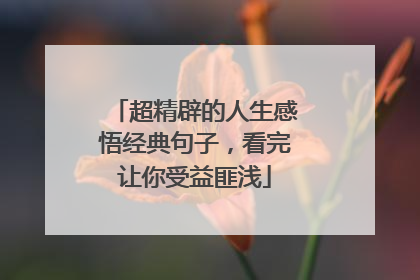 超精辟的人生感悟经典句子，看完让你受益匪浅