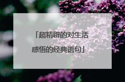 超精辟的对生活感悟的经典语句