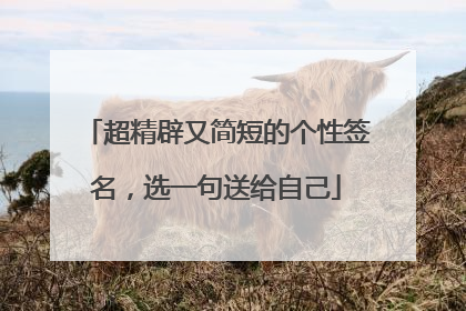 超精辟又简短的个性签名,选一句送给自己