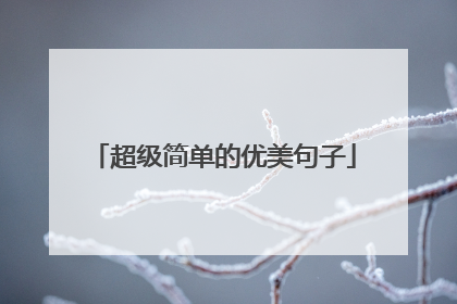 超级简单的优美句子