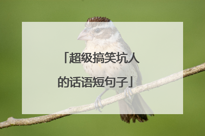 超级搞笑坑人的话语短句子