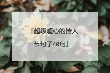 超级暖心的情人节句子40句