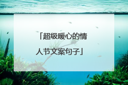 超级暖心的情人节文案句子