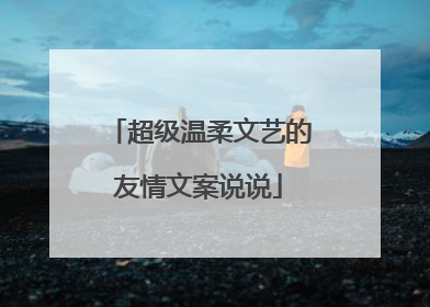 超级温柔文艺的友情文案说说