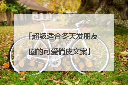 超级适合冬天发朋友圈的可爱俏皮文案