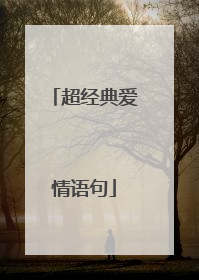 超经典爱情语句