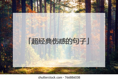 超经典伤感的句子