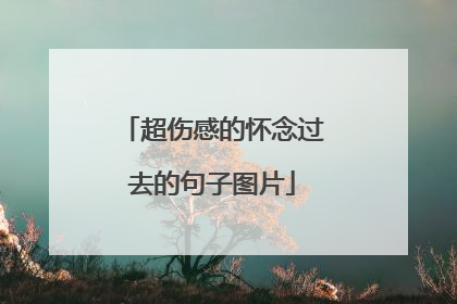超伤感的怀念过去的句子图片