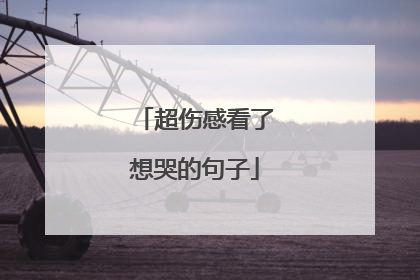 超伤感看了想哭的句子