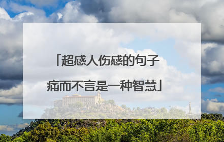 超感人伤感的句子 痛而不言是一种智慧