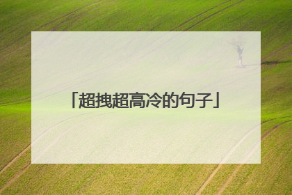 超拽超高冷的句子