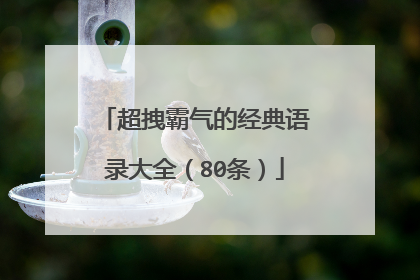 超拽霸气的经典语录大全(80条)