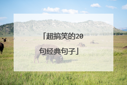 超搞笑的20句经典句子