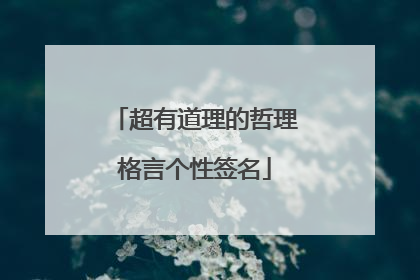 超有道理的哲理格言个性签名