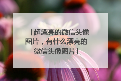超漂亮的微信头像图片，有什么漂亮的微信头像图片
