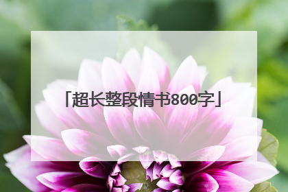 超长整段情书800字