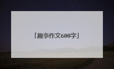 趣事作文600字