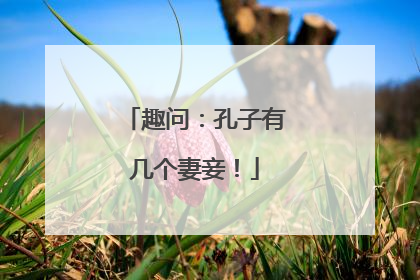 趣问:孔子有几个妻妾!