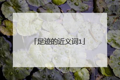 足迹的近义词1