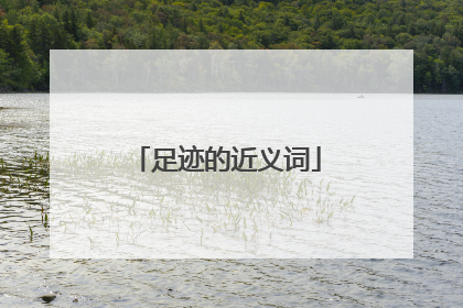 足迹的近义词