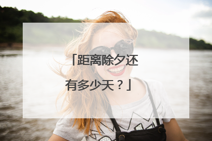 距离除夕还有多少天？