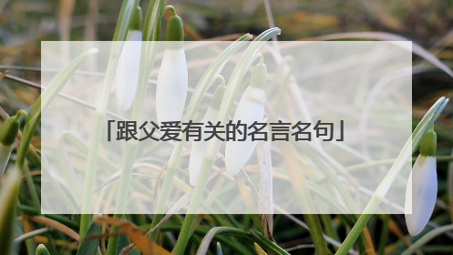 跟父爱有关的名言名句