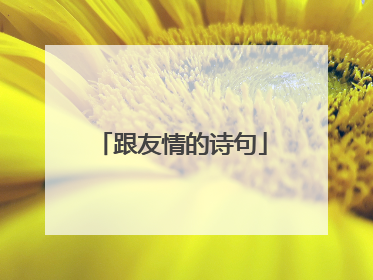 跟友情的诗句