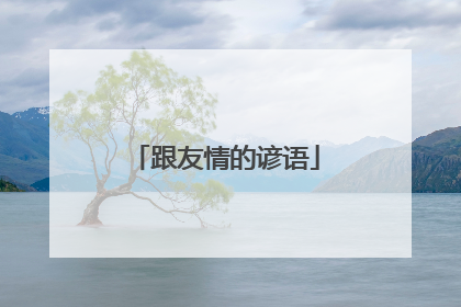 跟友情的谚语