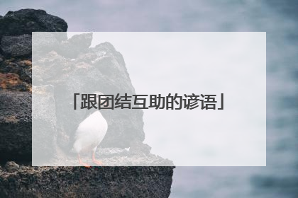 跟团结互助的谚语