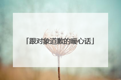 跟对象道歉的暖心话