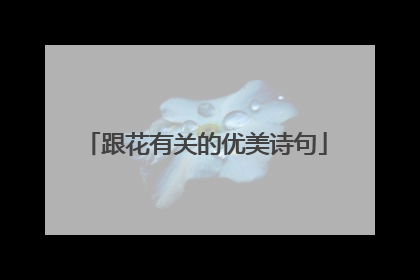 跟花有关的优美诗句