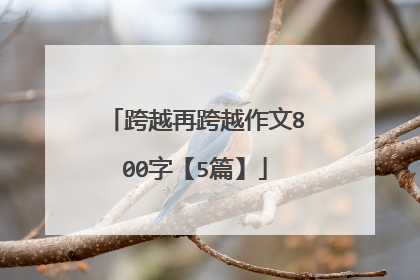 跨越再跨越作文800字【5篇】