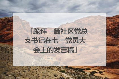 跪拜一篇社区党总支书记在七一党员大会上的发言稿