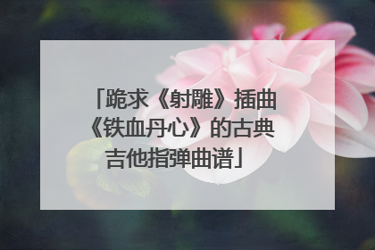 跪求《射雕》插曲《铁血丹心》的古典吉他指弹曲谱