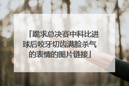 跪求总决赛中科比进球后咬牙切齿满脸杀气的表情的图片链接