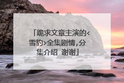 跪求文章主演的<雪豹>全集剧情,分集介绍 谢谢