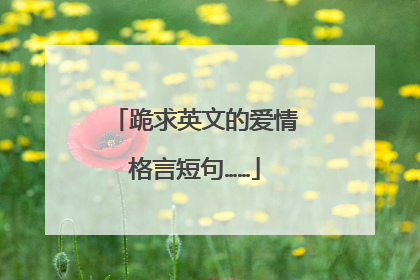 跪求英文的爱情格言短句……