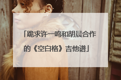 跪求许一鸣和胡晨合作的《空白格》吉他谱