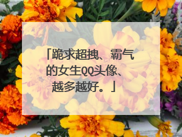 跪求超拽、霸气的女生QQ头像、越多越好。