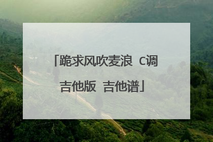 跪求风吹麦浪 C调 吉他版 吉他谱