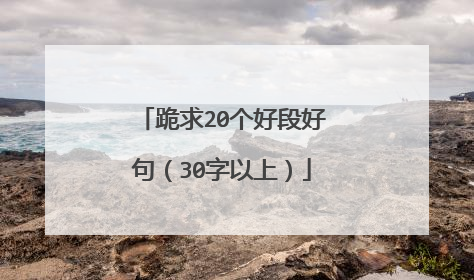 跪求20个好段好句（30字以上）