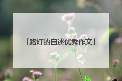 路灯的自述优秀作文