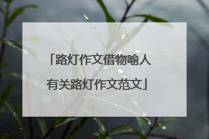 路灯作文借物喻人 有关路灯作文范文