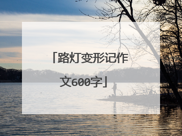 路灯变形记作文600字