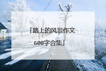 路上的风景作文600字合集
