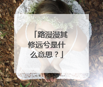 路漫漫其修远兮是什么意思？
