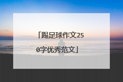 踢足球作文250字优秀范文
