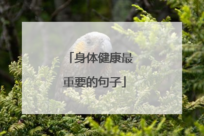 身体健康最重要的句子