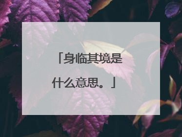 身临其境是什么意思。